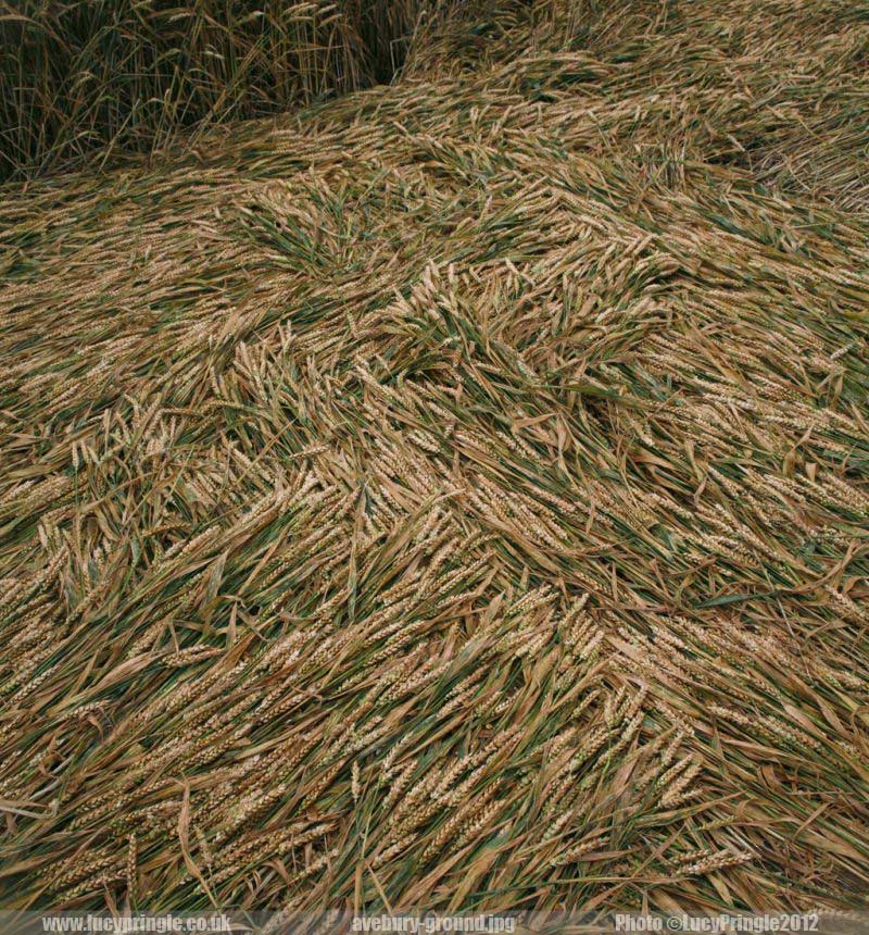 avebury-ground.jpg