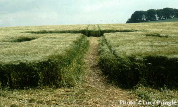 Avebury Trusloe, Wiltshire 9th Jun 1991