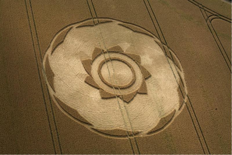 Longwood Warren, near Winchester, Hampshire. 10 July 2018. Wheat. c.130 feet (40m) diameter. A large concentric design. Its central circular band is encompassed by a ratchet shaped motif with nine 'teeth'. The bounding 'circle' is formed of nine shallow infilled arcs.