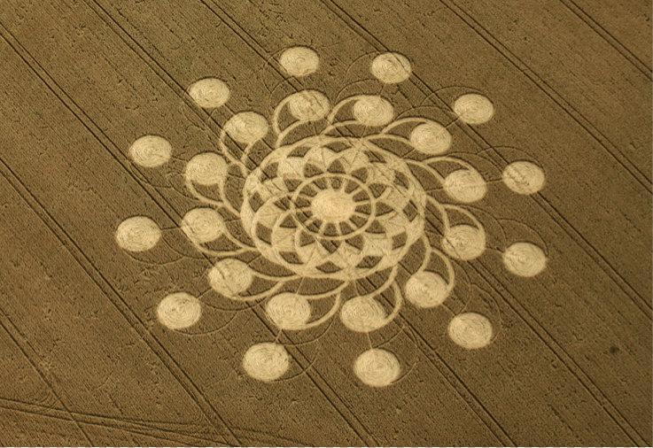 Muncombe Hill, near Kingweston, Somerset. 14th July 2018. Wheat c. 250 feet. (76m) overall. A ‘flower’ themed circle. Its centre contains three sets of 12 motifs. The centre has two symmetrical rings of 12 satellites linked to the centre by arced ‘branches’.