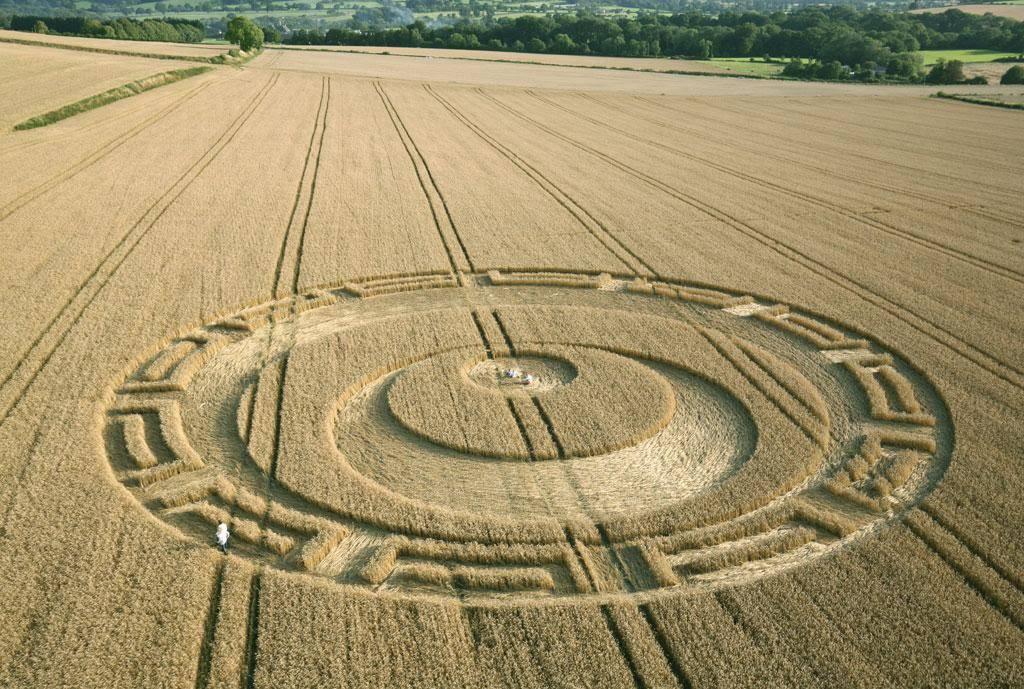 A Flourishing Finish September 2019 Lucy Pringle Crop Circle A Flourishing Finish September 2019 Lucy Pringle Crop Circle
