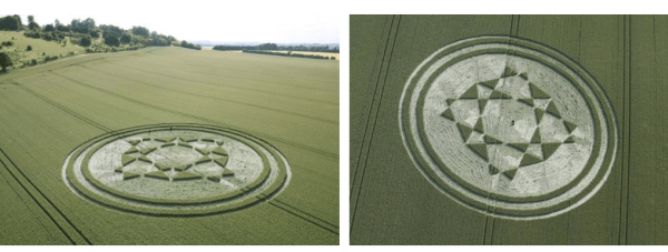 Danebury Iron Age Hill Fort, Danebury, near Stockbridge, Hampshire. 30th June 2019. c.100 feet (30.5m) diameter. Wheat