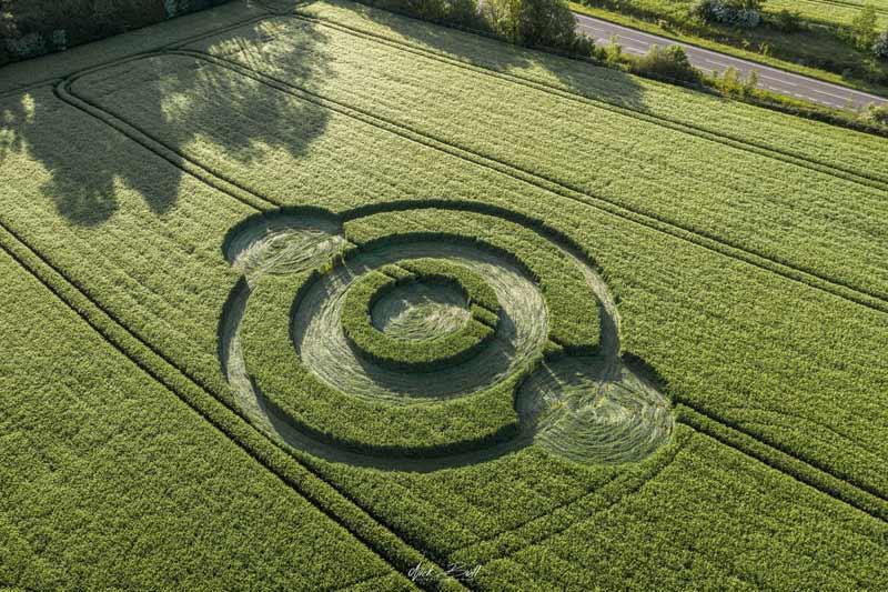 Norridge Wood, Nr Warminster, Wiltshire. Reported 22nd May. 120 feet overall (36.5m) Barley. Concentric circles with opposing satellites. copyright © Nick Bull 2019