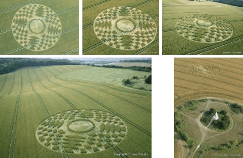 Farley Mount, near Winchester, Hampshire. 8th July 2019. c. 130 ft (33.5m) Wheat. © Lucy Pringle A circle motif with four sectors. An inner disc, four triangular arrays of four-sided shapes and 'eye-shapes'