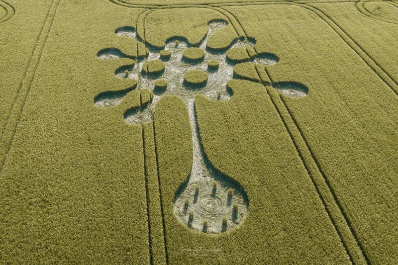Wiltshire, Reported 28th May 2020. Barley. c:120 feet (35.6m) overall. By kind permission of Stonehenge Dronescapes Photography copyright © 2020