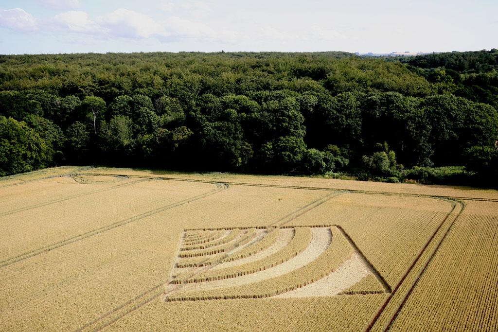 Chillandham Lane, near Winchester, Hampshire. Reported 4th July. Barley. 140 feet (40.6m)