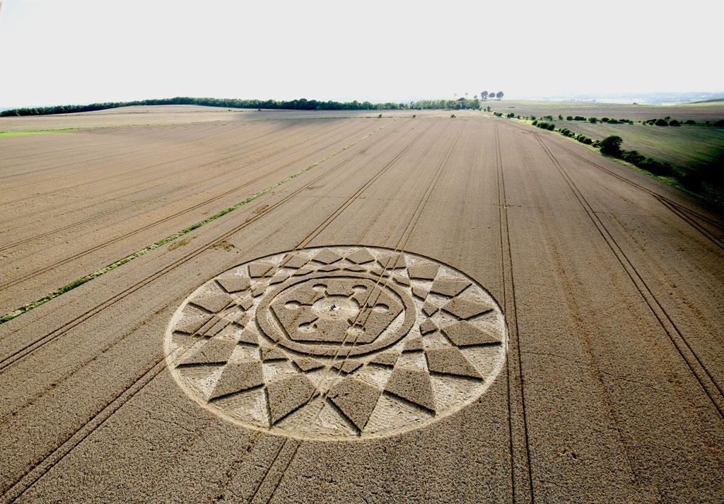Roundway Hill, Nr Devizes, Wiltshire. 13th August 2023 Wheat c:150 feet (46m) diameter
