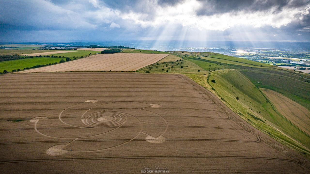 Combe Hill, Nr Bratton, Wiltshire. 30th July 2023 Wheat. 300 feet (91m) overall. Images Hugh Newman Copyright 2023