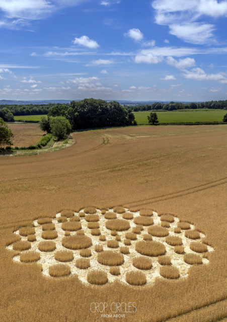 Zeals Knoll03