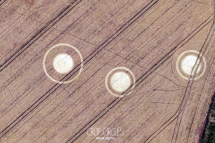 Stone Circle, near Avebury, Wiltshire. Reported 14th July 2026